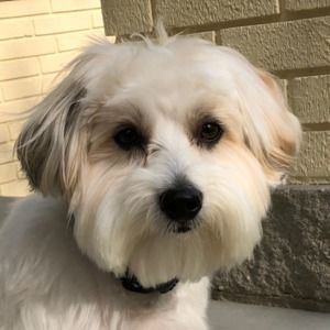 Meet your Posher, Rhonda